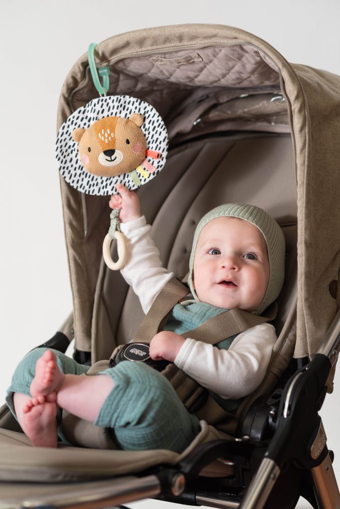 Harry Muzikale Leeuw