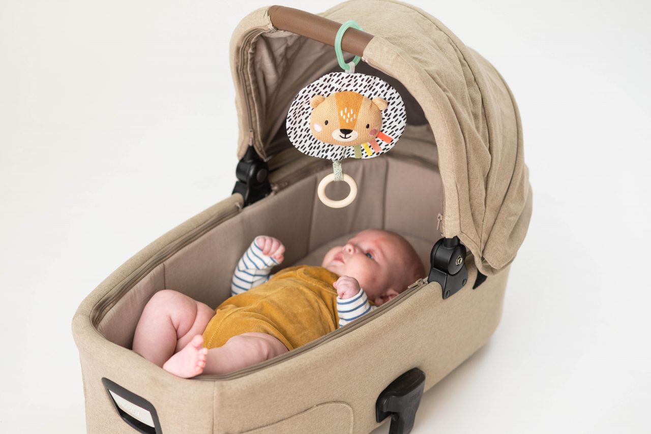 Harry Muzikale Leeuw