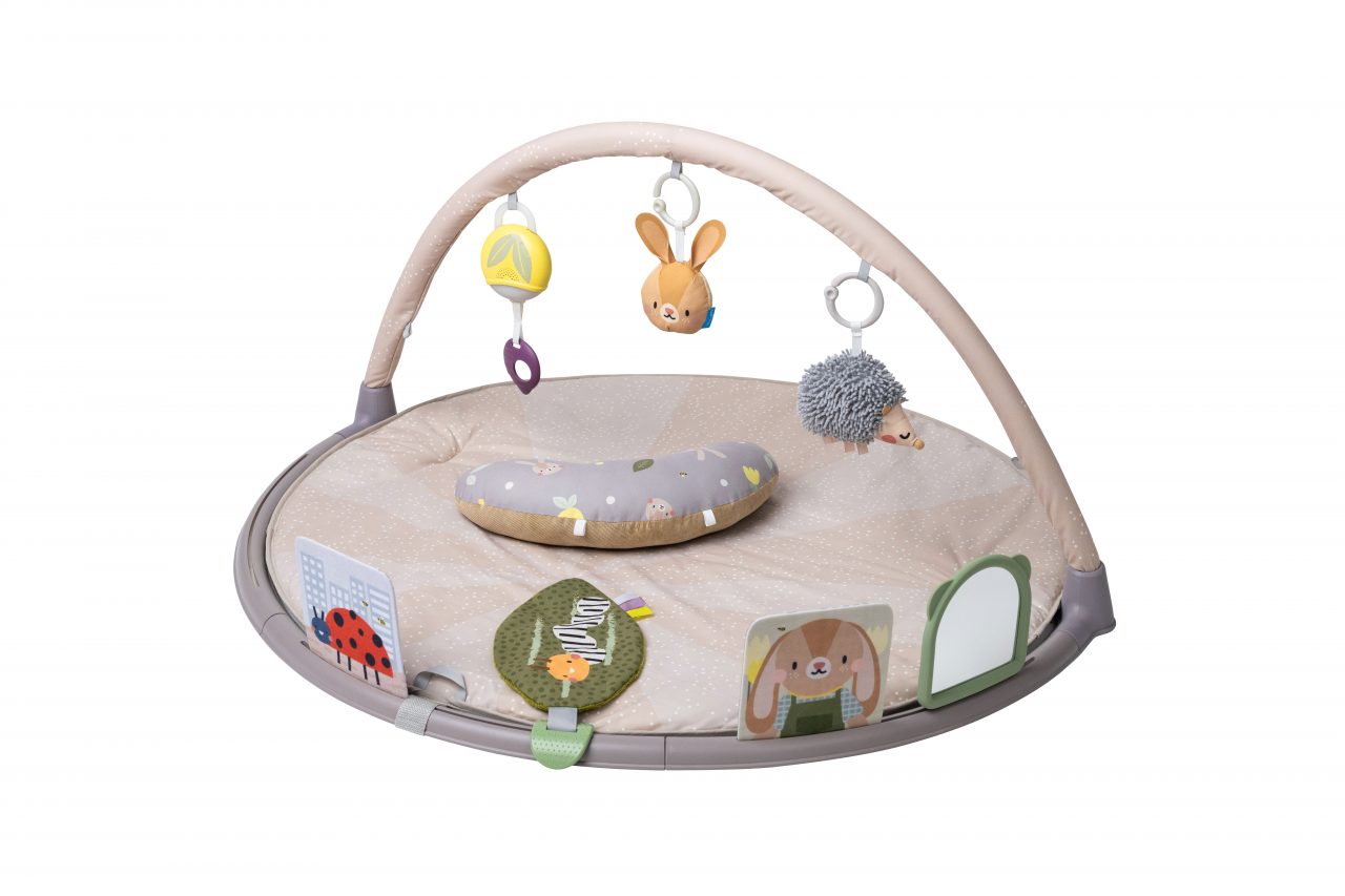 Tummy Time Activity Gym