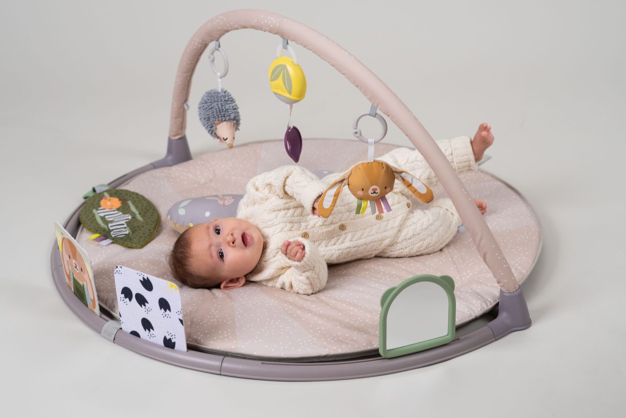 Tummy Time Activity Gym