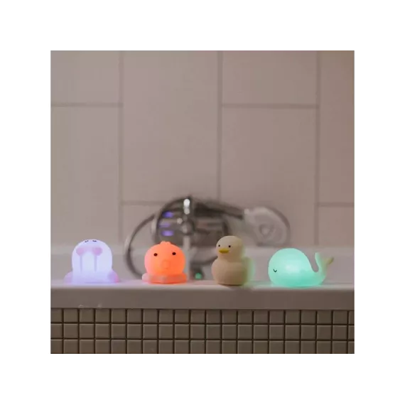 nachtlampje- zeedieren