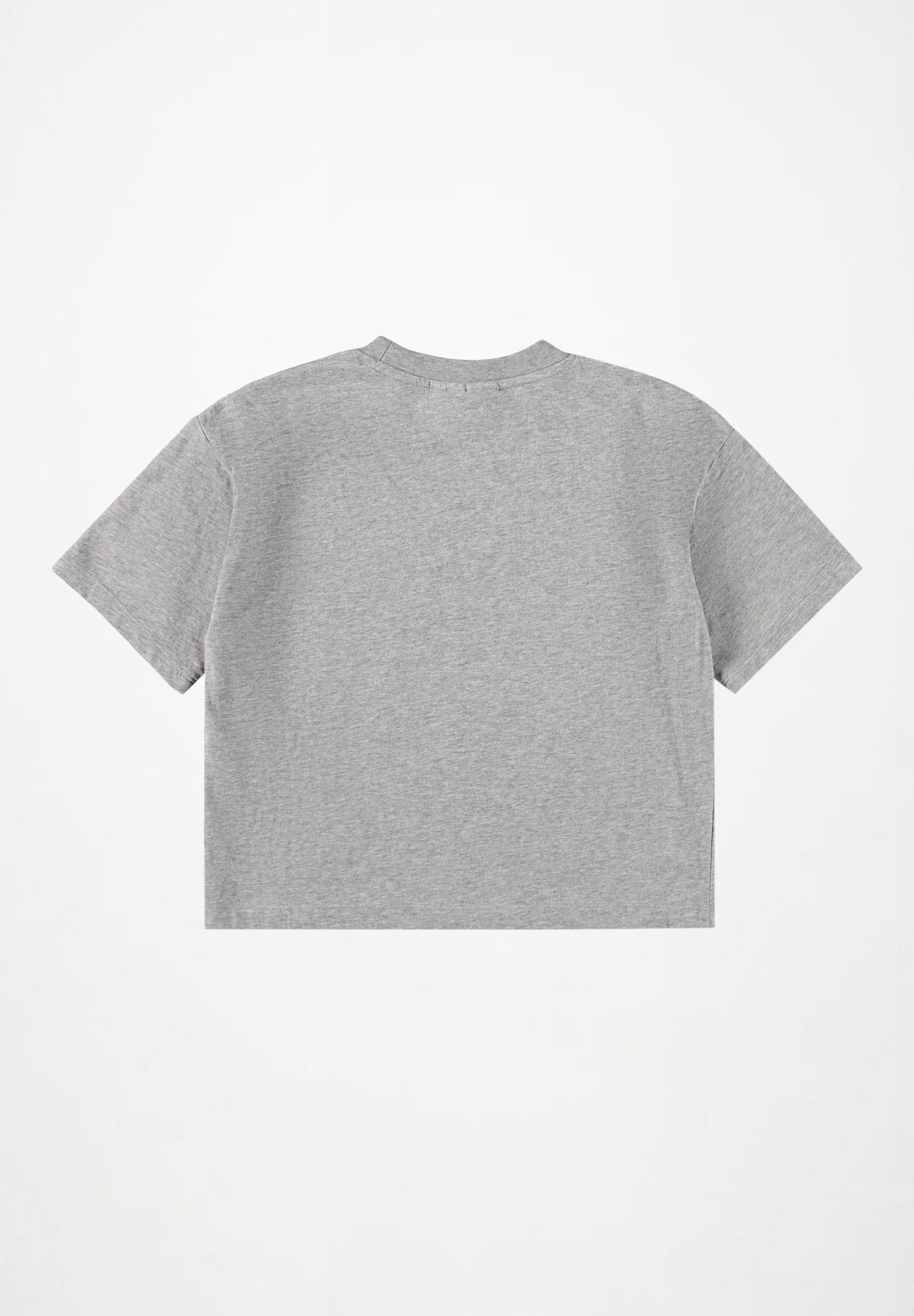 REINETTE T-SHIRT Grey Melange