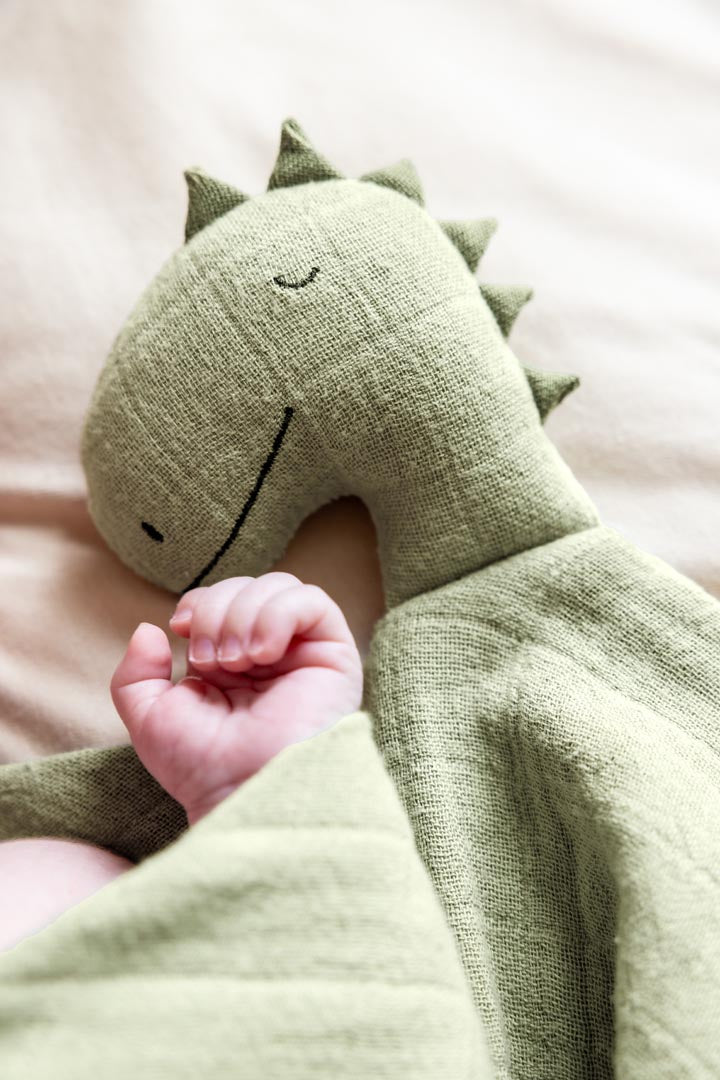 Knuffeldoek - Bliss sage - Mr. Dino