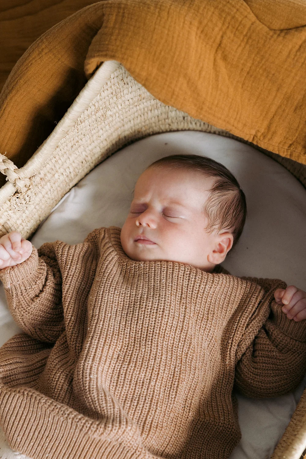 Vega Basics - THE KIDS CORDERO | praliné