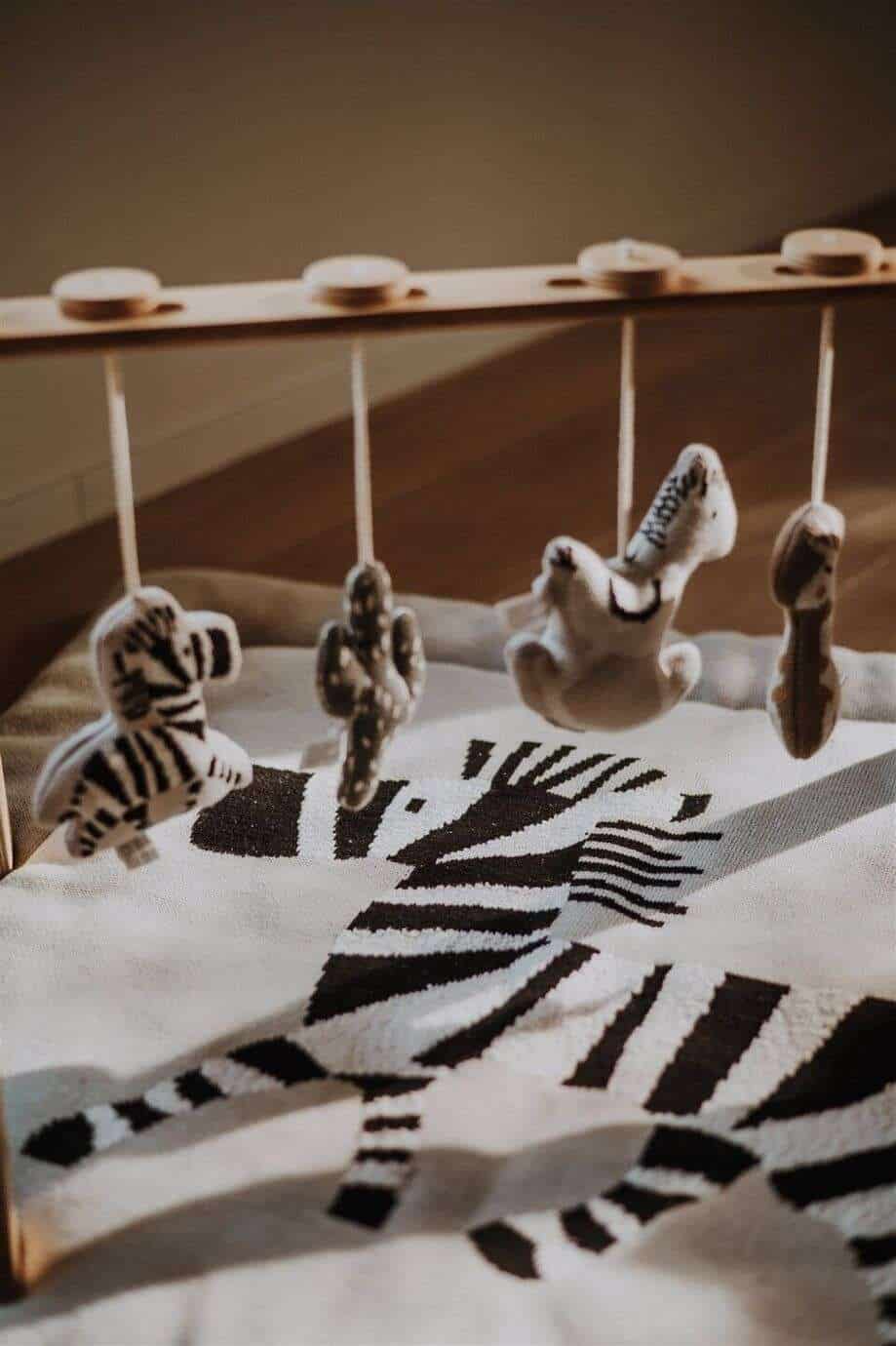 Tipi - Activity Arch + 5 Jungle Toys