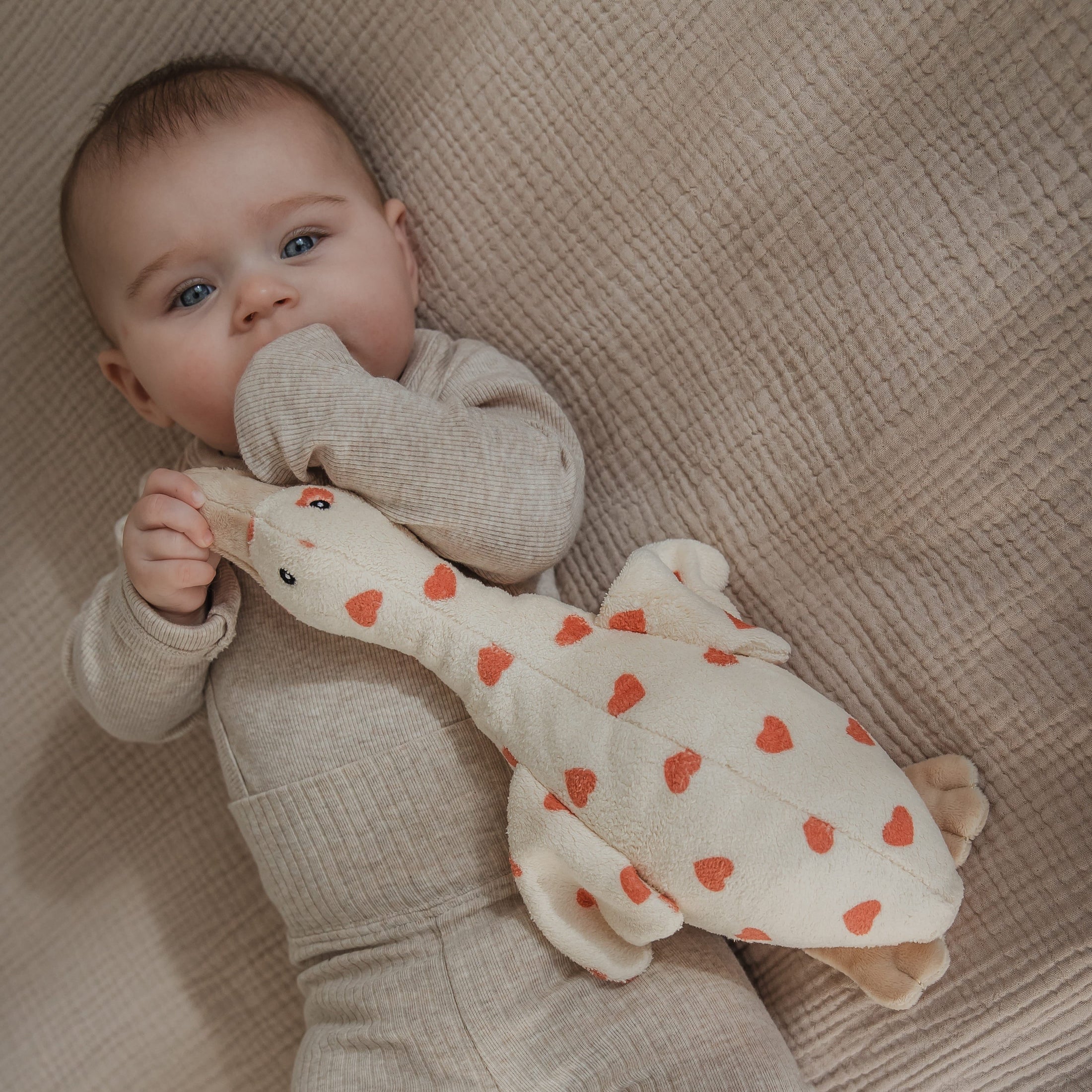 Liva (hartjes) - Oplaadbare hartslagknuffel LIMITED EDITION