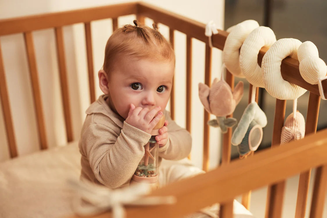 Activiteitenspiraal - Lovely Birds