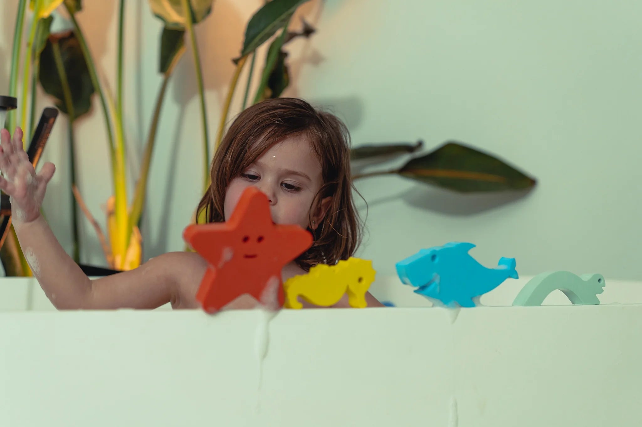 Waterfun - zeedieren