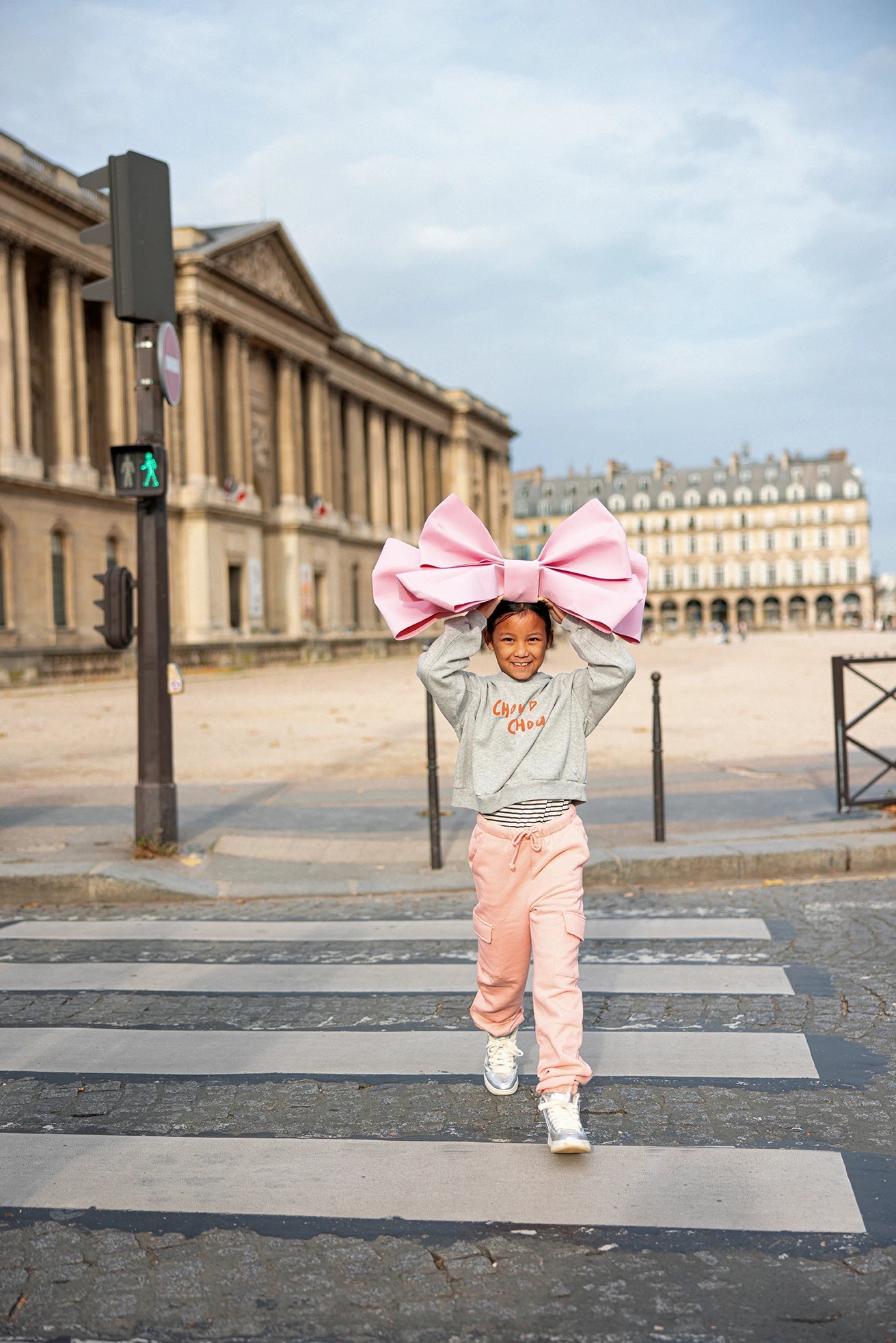 Cropped Hooded Sweatshirt &