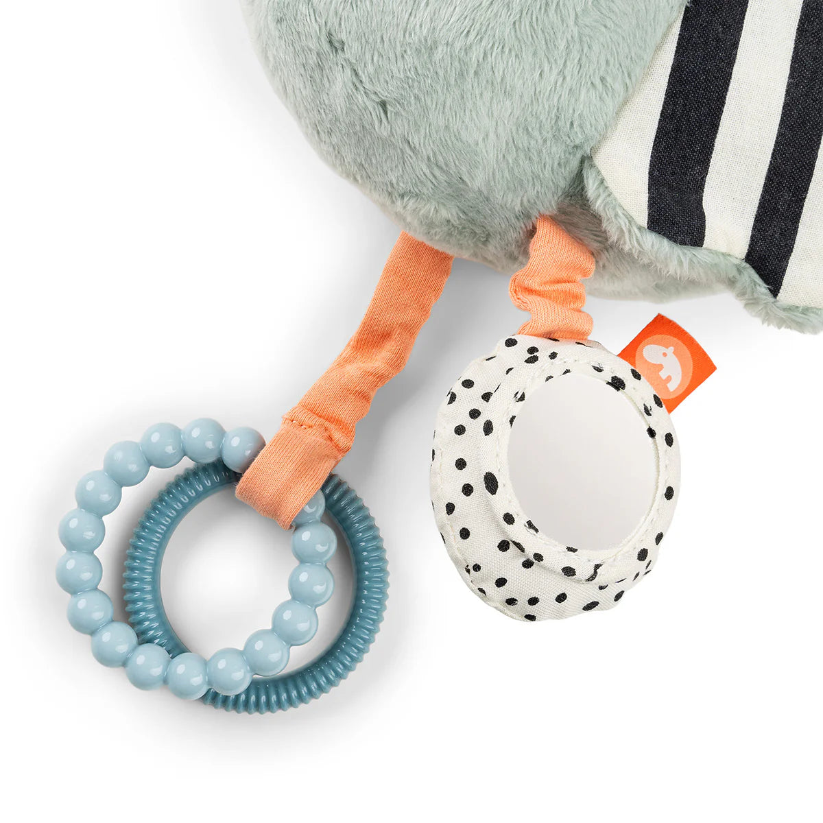 Activiteitenspeelgoed sensorisch - Birdee - Blauw