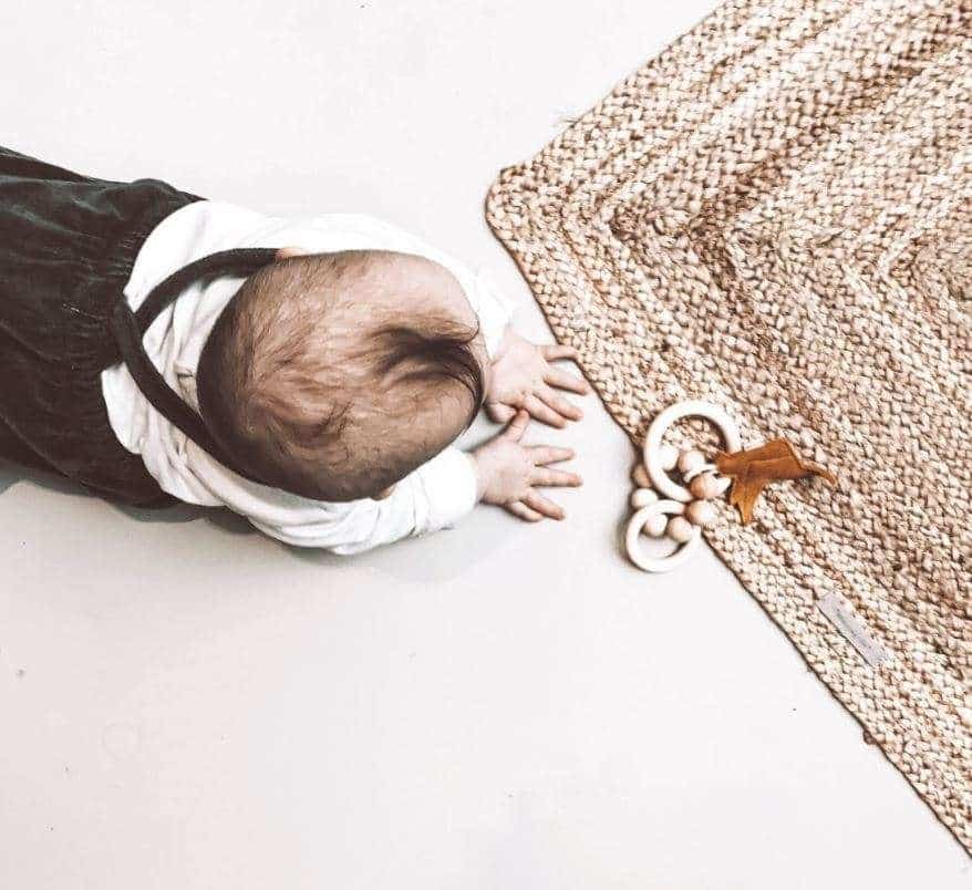 Rammelaar Birds - Roest