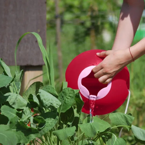 Ballo - Cherry rood