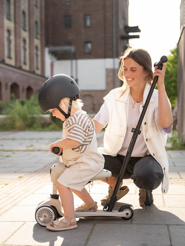 Highwaykick 1 Push and Go Ash