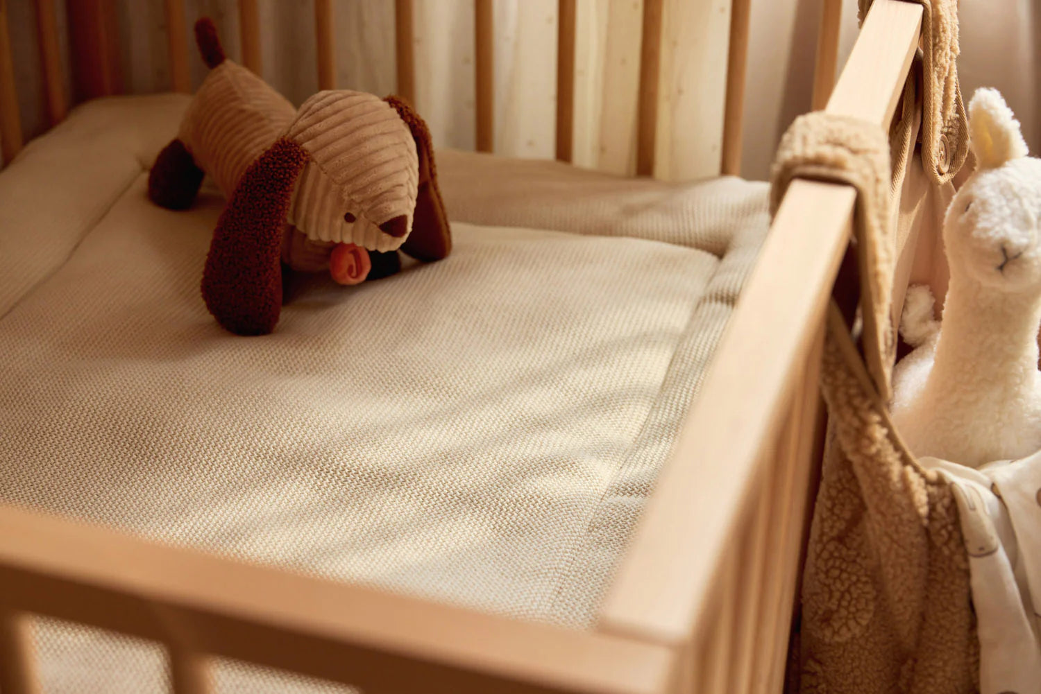 Jollein - Knuffel Diego de hond