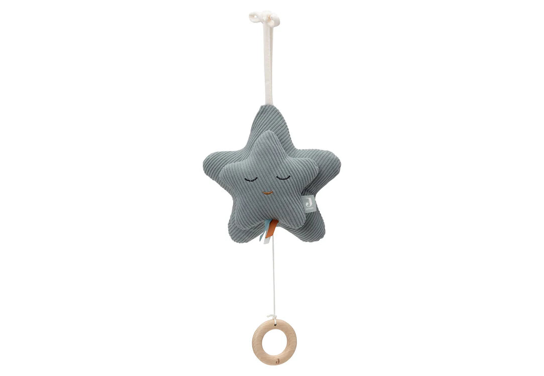 Muziekhanger Star - Sea Green
