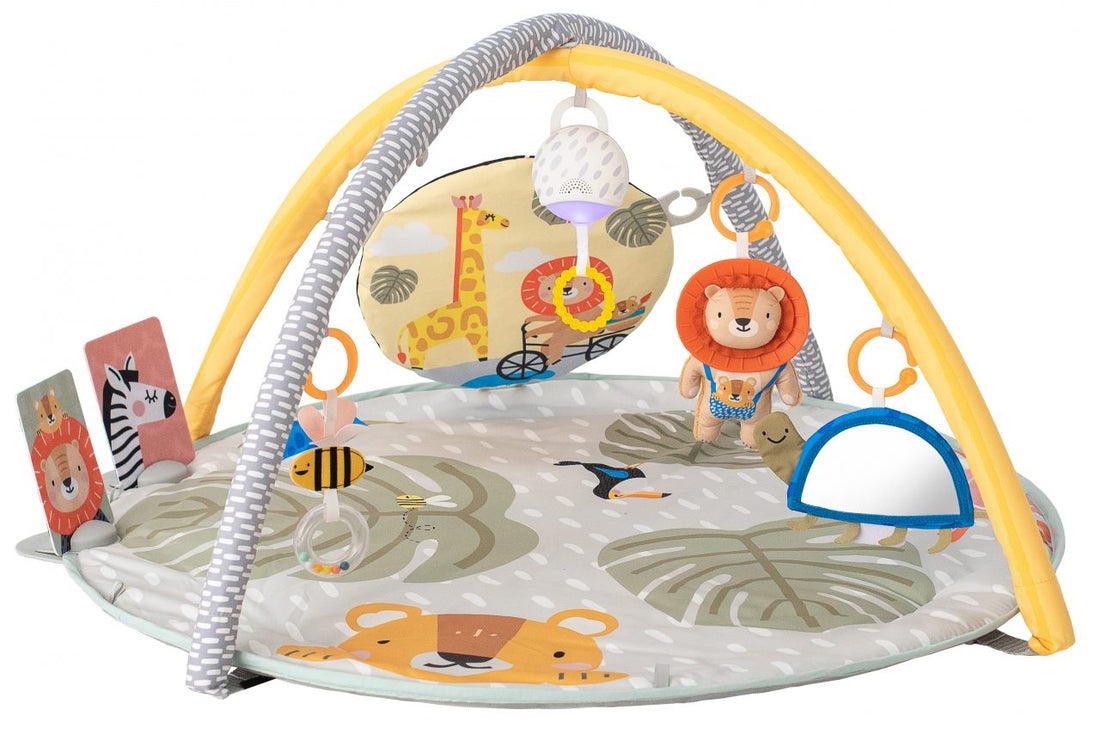 Savannah Adventures 360° Activity Gym