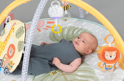 Savannah Adventures 360° Activity Gym