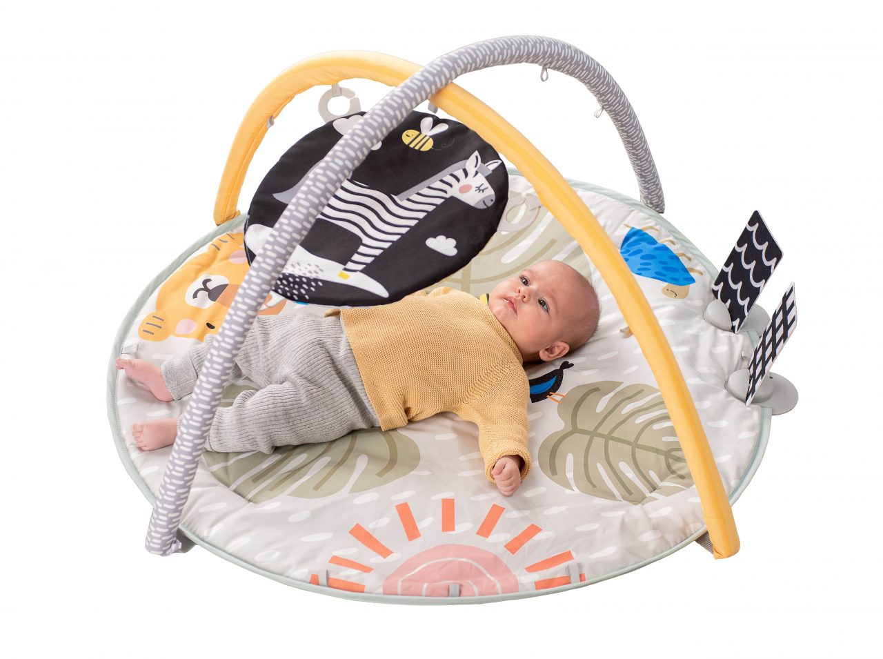 Savannah Adventures 360° Activity Gym