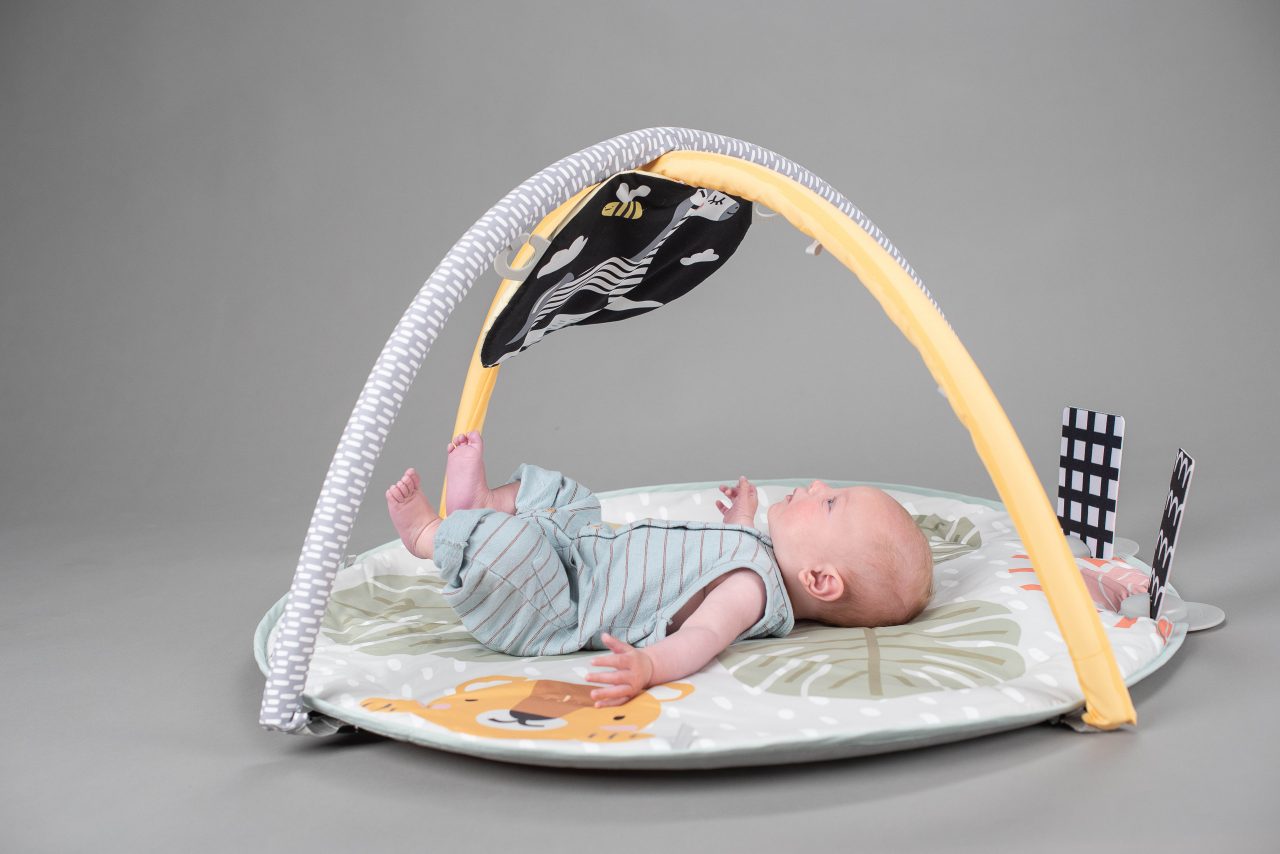 Savannah Adventures 360° Activity Gym