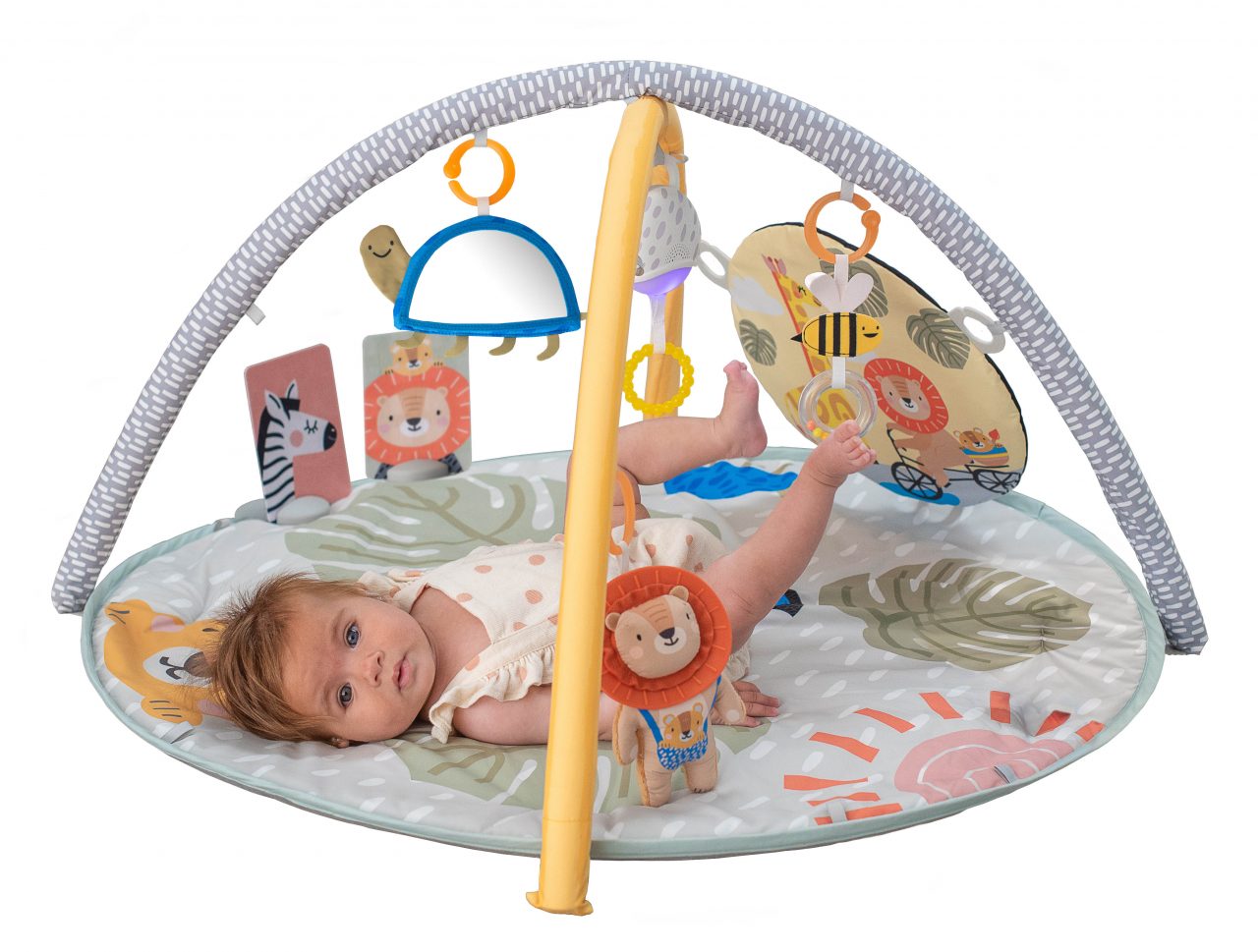 Savannah Adventures 360° Activity Gym