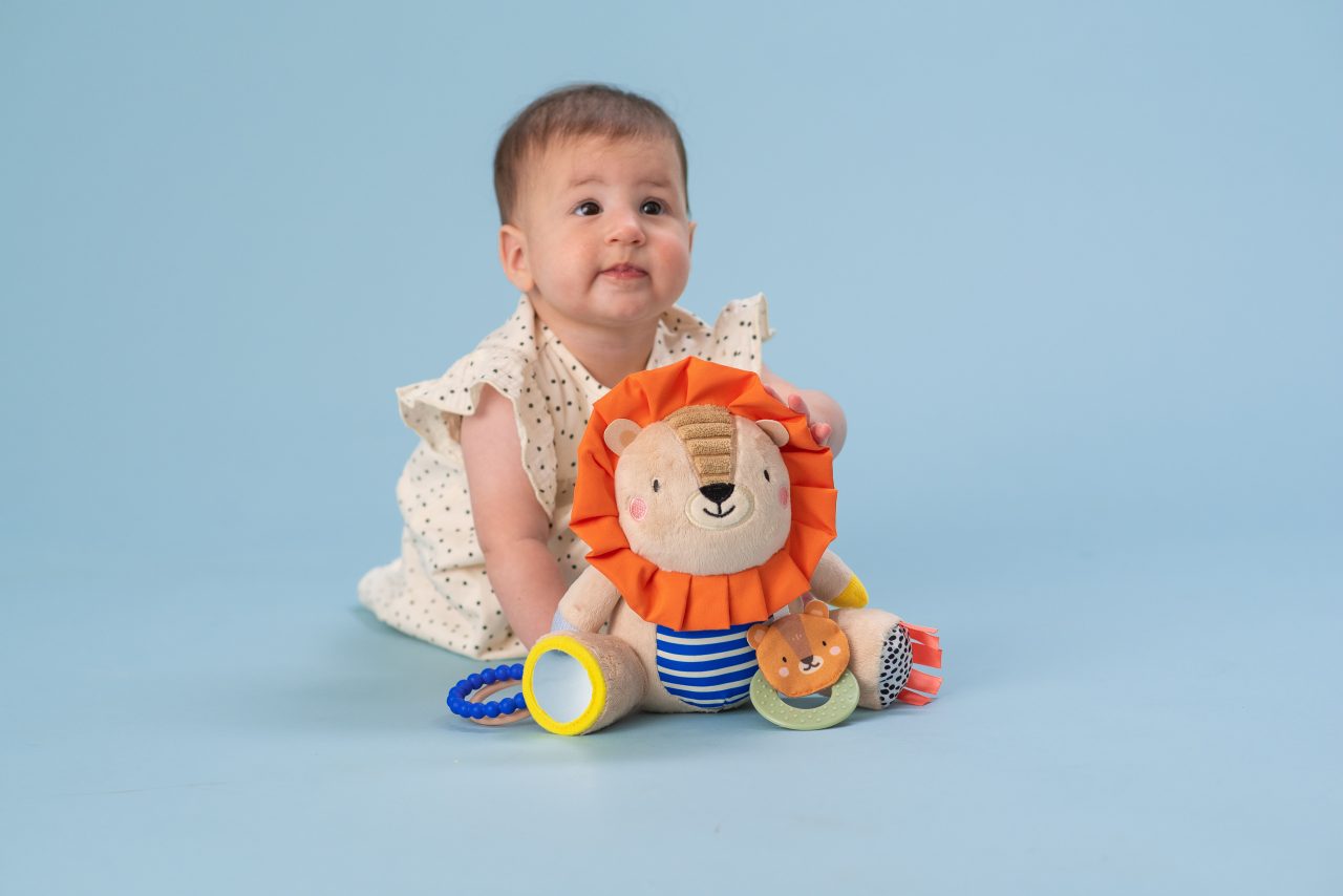 Harry Lion Activity Doll