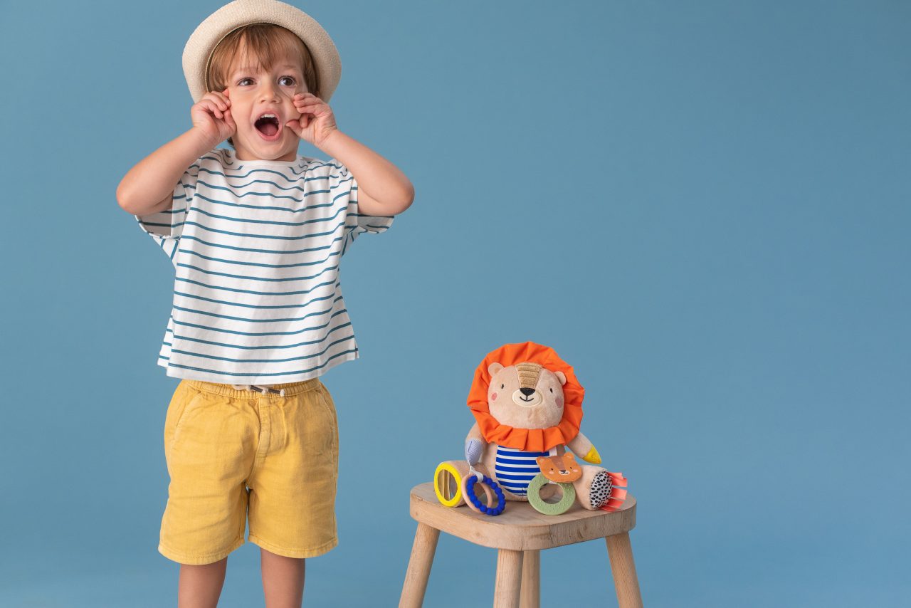 Harry Lion Activity Doll