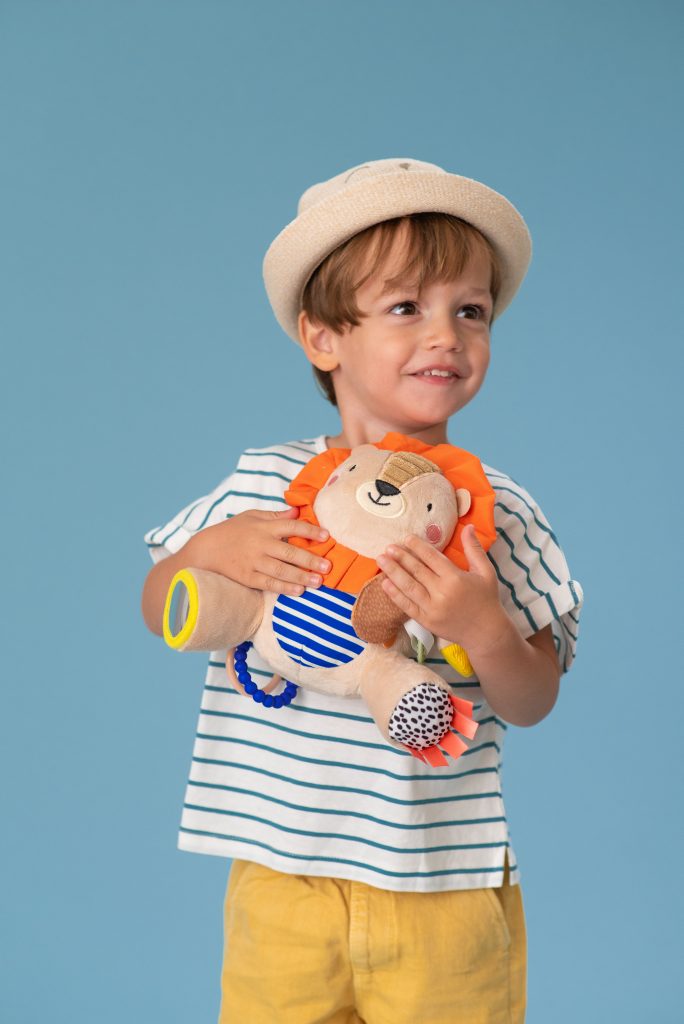 Harry Lion Activity Doll