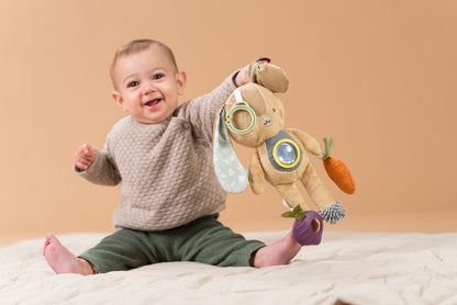 Jenny Activity Toy