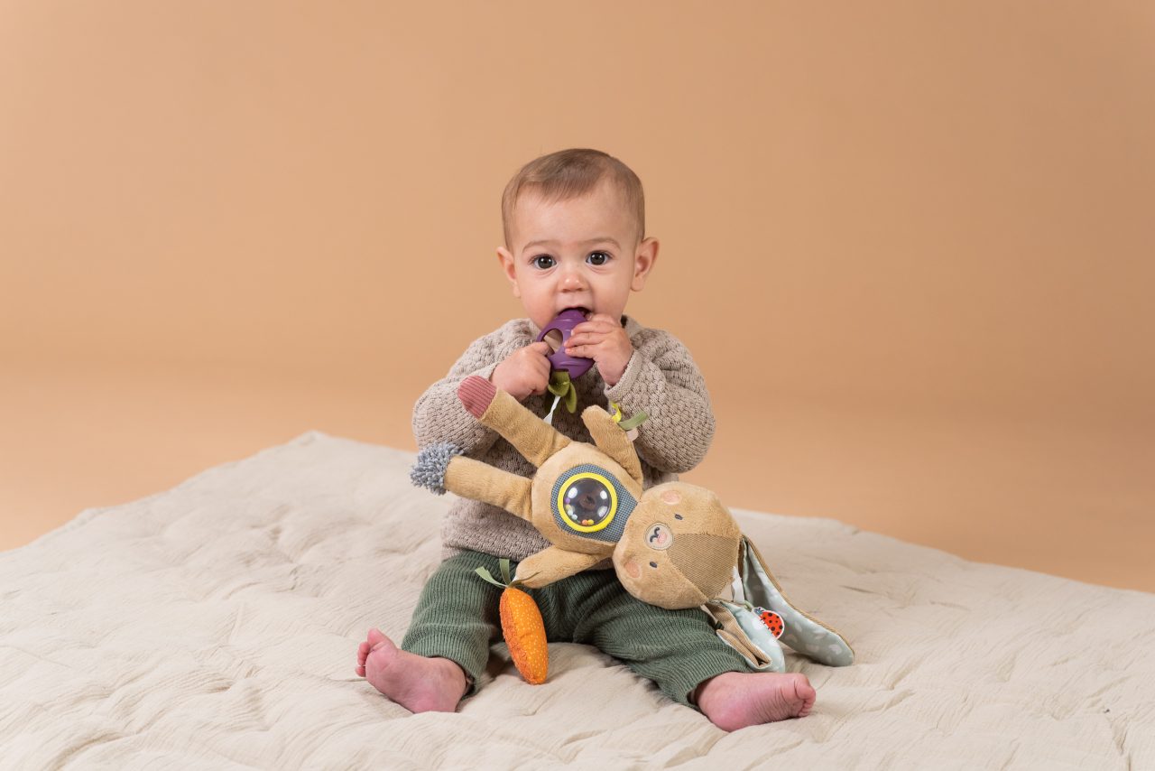 Jenny Activity Toy