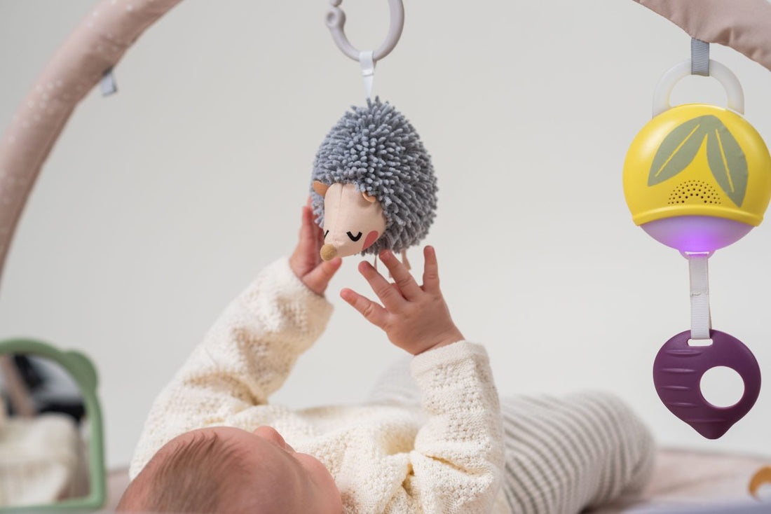 Tummy Time Activity Gym