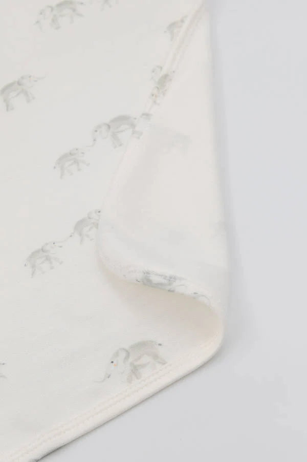 clinica Deken newborn 75x100 - ELEPHANTS 248
