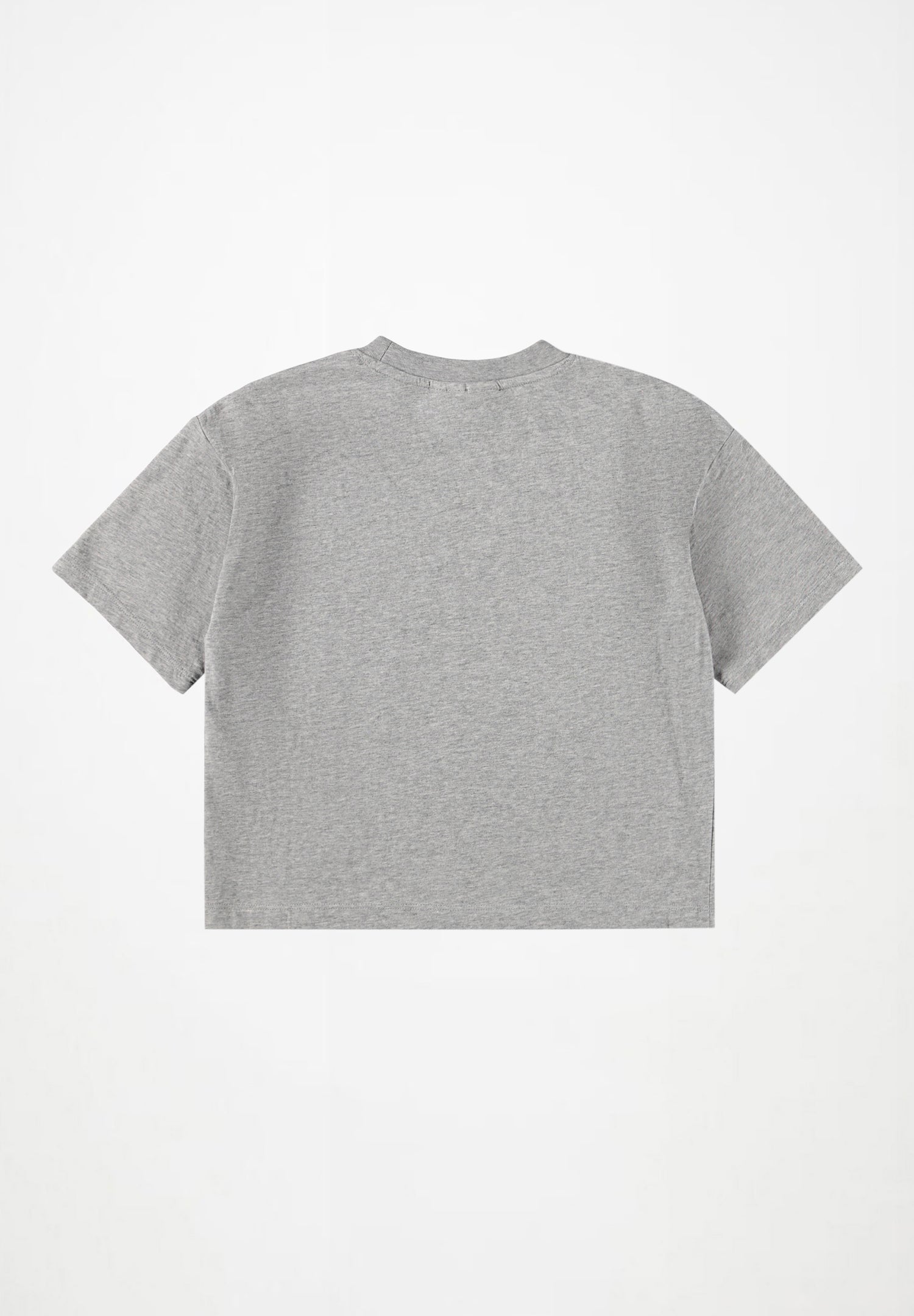 REINETTE T-SHIRT Grey Melange