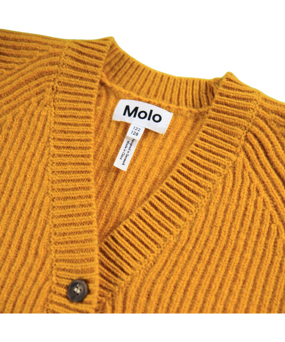 Molo -  Gilberta - Energy