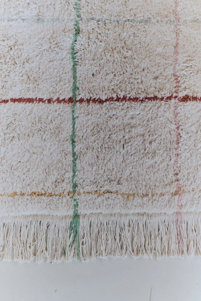 Wasbaar tapijt COLOR LINES