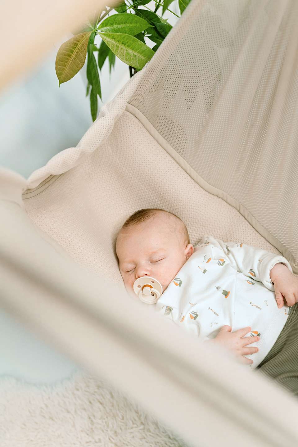 Nonomo - Little Dream Set - Almond