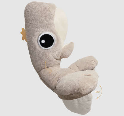SleepWell Whale