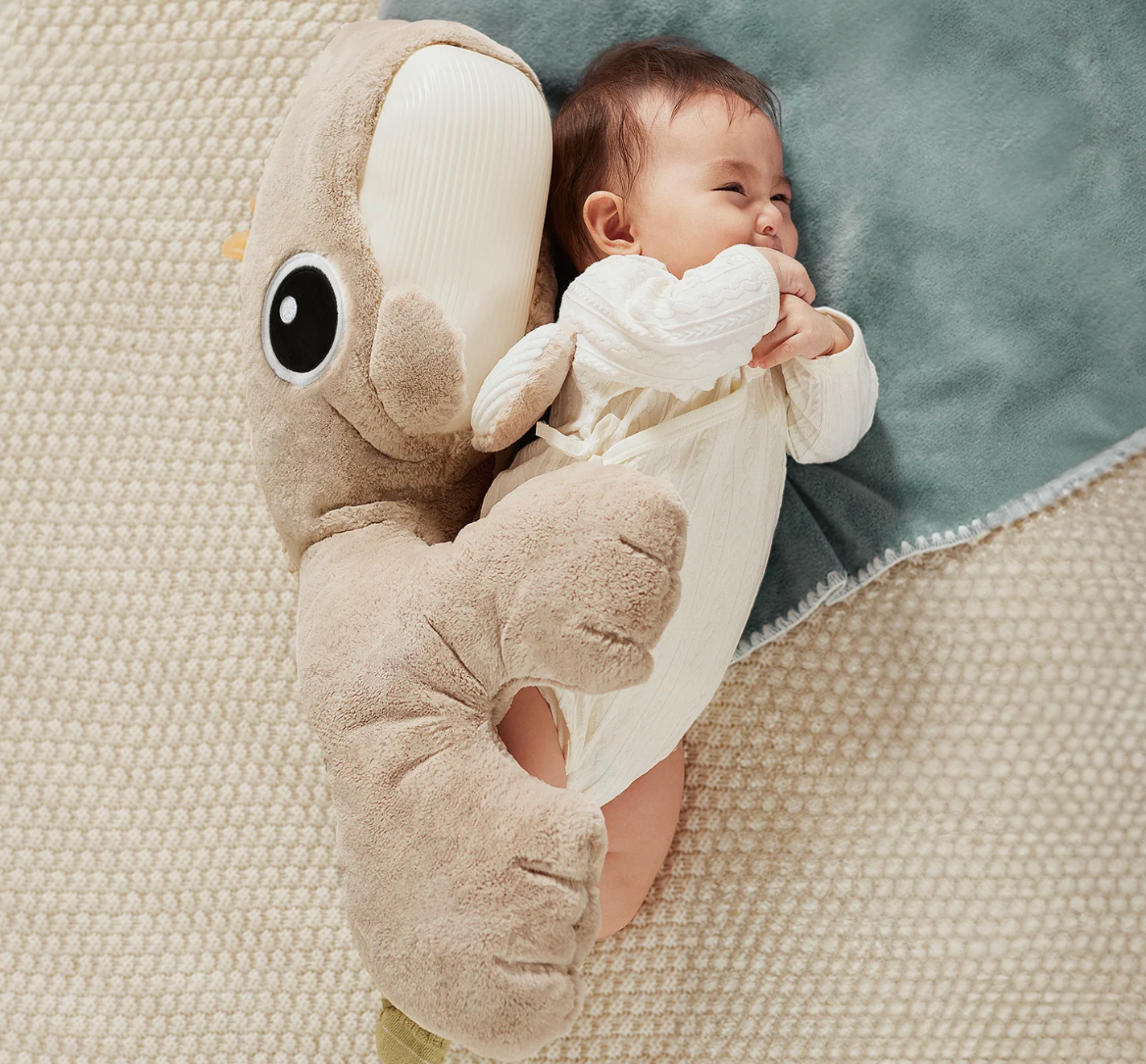 SleepWell Whale