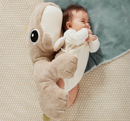 SleepWell Whale