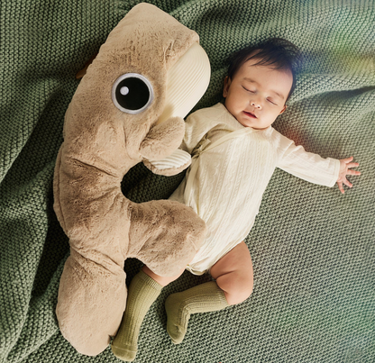 SleepWell Whale