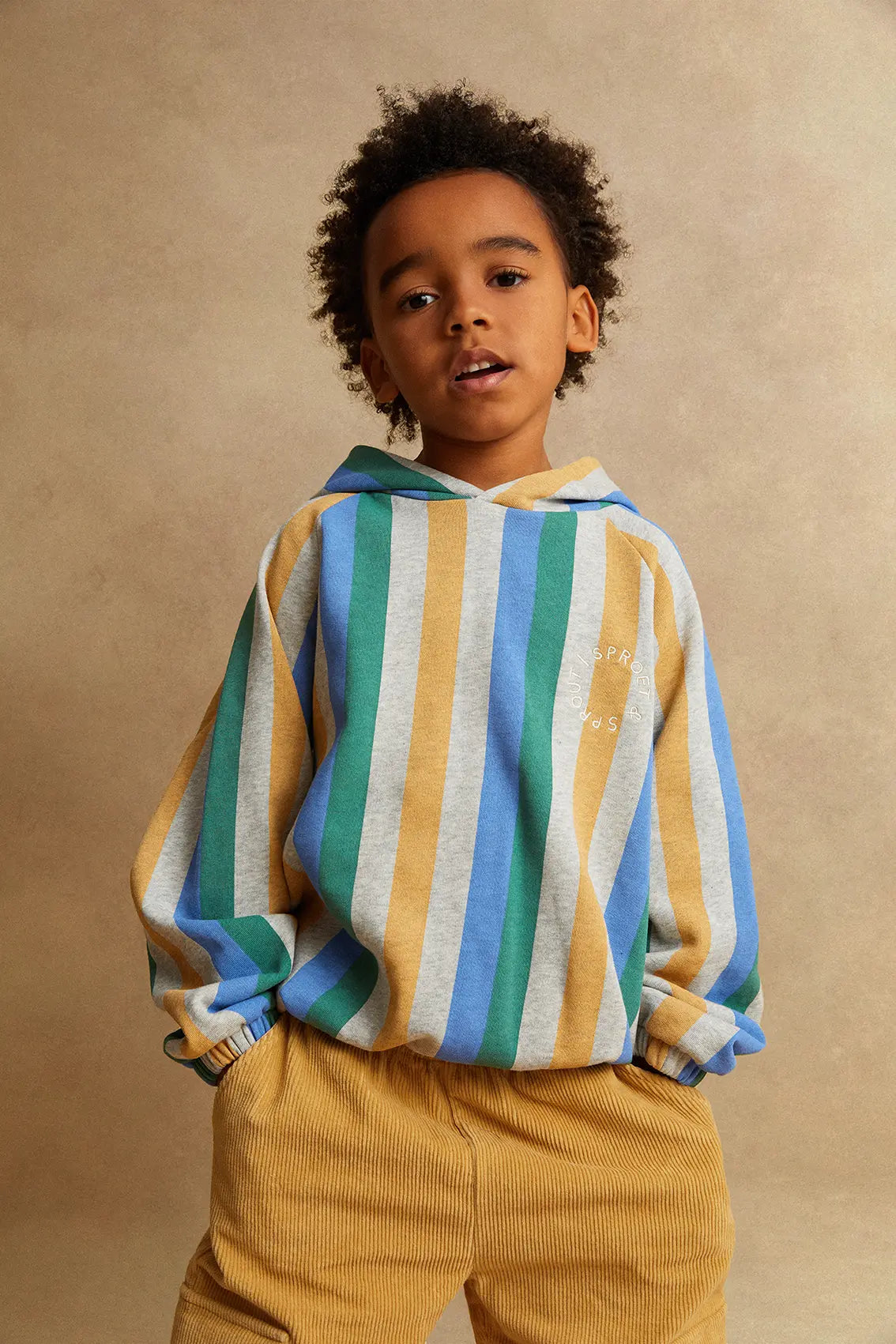 Sweatshirt hoody stripes
