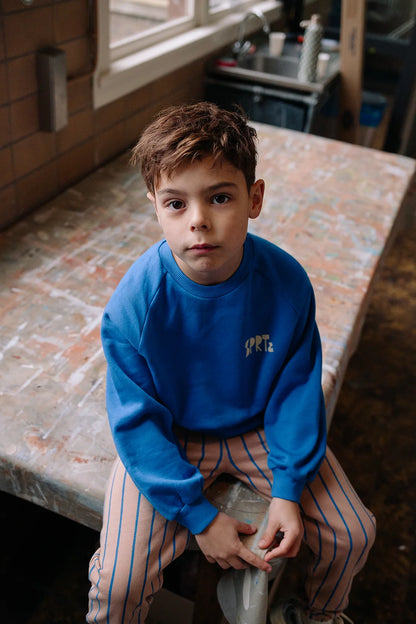 Sweatshirt logo blue