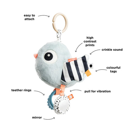 Activiteitenspeelgoed sensorisch - Birdee - Blauw