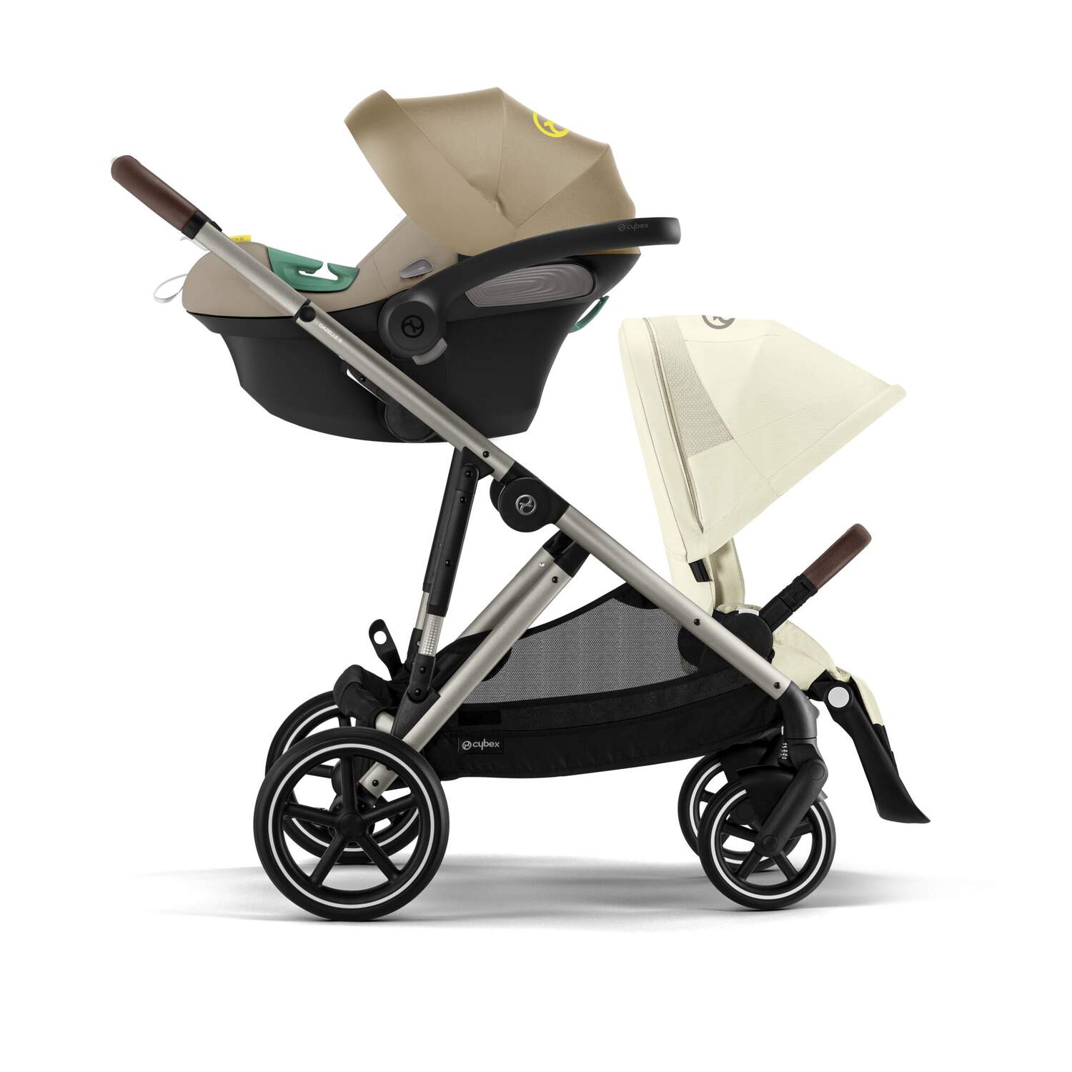 Gazelle S - Seashell Beige (Taupe Frame)